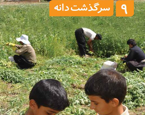 آشنایی با دانه ها و میوه های چند دانه ای و تک دانه ای در کلاس خانم طاهری بهمن ماه 1401